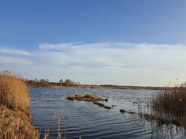 Показали мешканців нацпарку на Волині «Цуманська пуща» (фото)