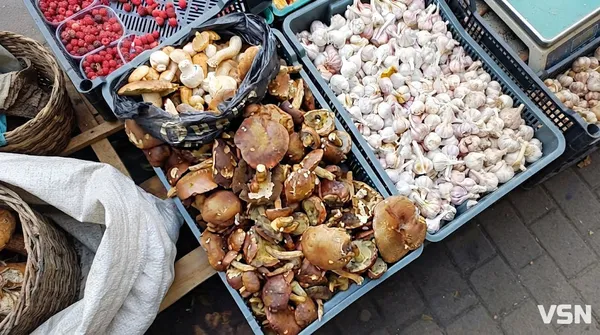 На ринку в Луцьку продають гриби: скільки коштує кілограм (фото)
