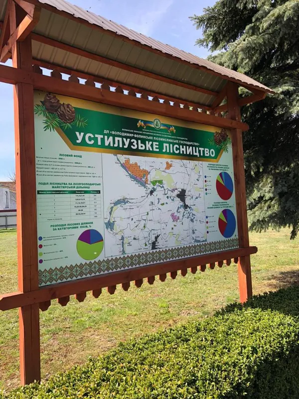 В Устилузькому лісництві вирощують фазанів (фото, відео)