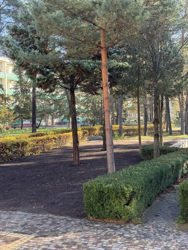 У санаторії на Шацьких озерах з’явиться новий простір для реабілітації (фото)