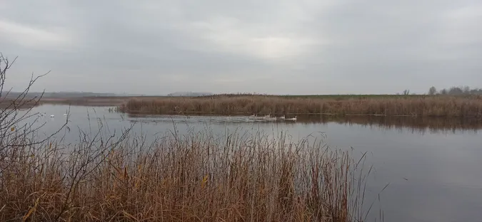 За минулий тиждень волиняни 9 разів порушували правила рибальства