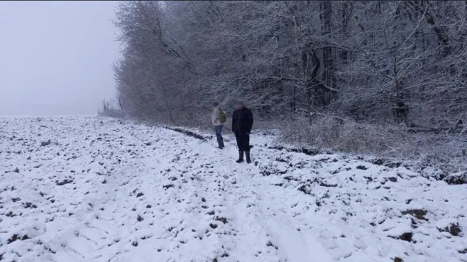 У заказнику на Володимирщині браконьєри застрелили кабанів у голову (фото 18+)