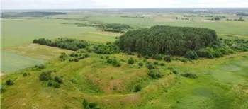 Вали, рів і три в’їзди: на Волині збереглися сліди тисячолітнього городища-сховища (фото)
