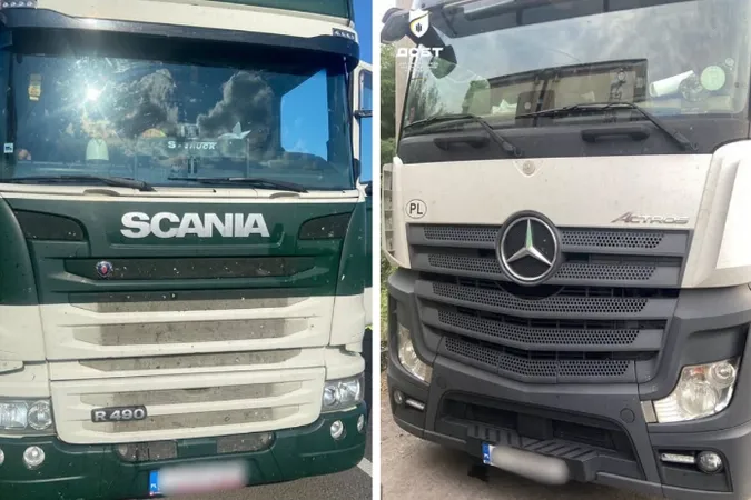 Чужа чіп-картка і відсутність наліпки: на Волині двом іноземним перевізникам загрожують штрафи на 68 тисяч