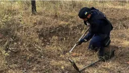 Волинські сапери розміновують поля і ліси на Сході України (фото)