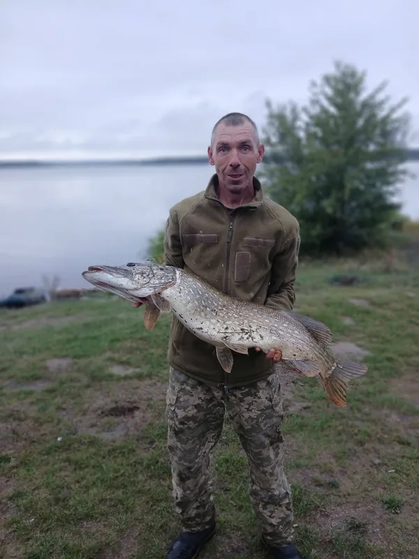 Біля Луцька впіймали величезну щуку: за скільки продають хижого монстра (фото)