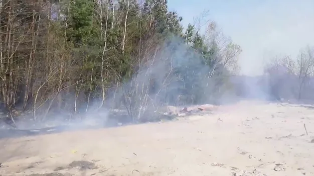 Отруйний дим, спалені поля і ліс: на Волині підпалили два смітники (фото, відео)