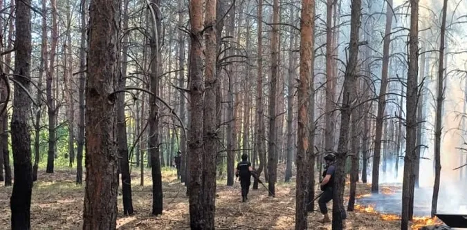 Волинські сапери працюють на Донеччині після обстрілів (фото)