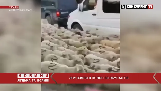 ЗСУ взяли в полон «кадирівців»: здалися одразу, як потрапили на передову (відео)
