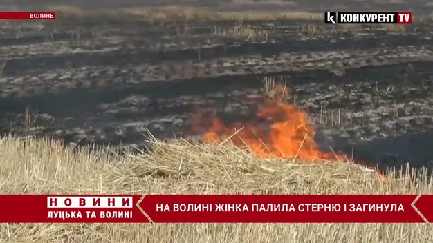 У Луцькому районі у вогні загинула жінка: підпалила післяжнивні залишки (відео)