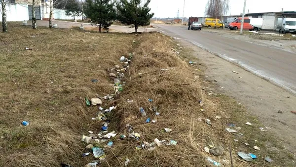 Продавці авторинку у Луцьку засмічують три вулиці (фото)