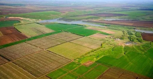 Земельні аукціони на Волині поповнили місцеві бюджети на більш ніж 500 тисяч