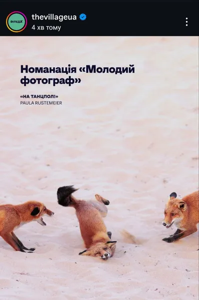 Показали найкумедніші фото тварин 2025 року