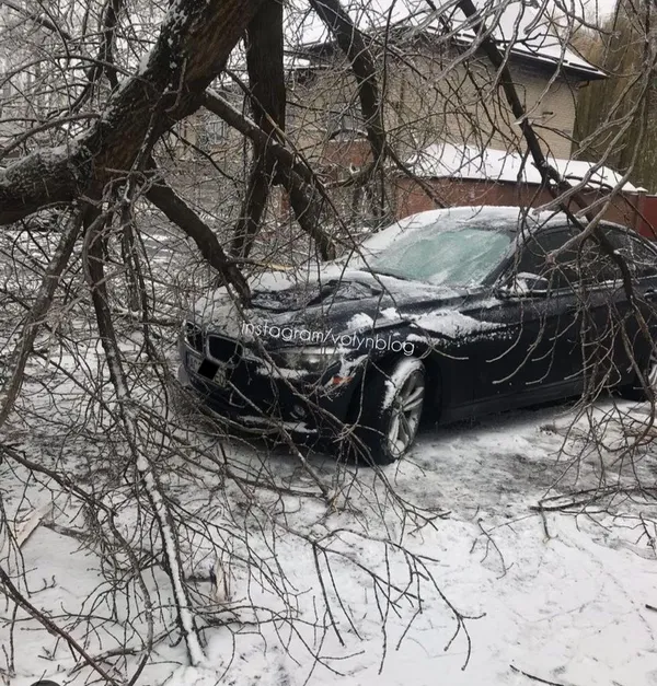 У Луцьку на автомобіль впало дерево (фото)