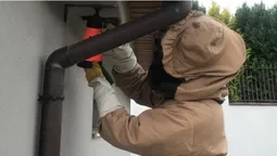 На Волині рятувальники ліквідували три гнізда небезпечних комах (фото)