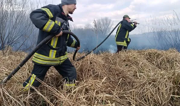 Стовпи вогню і дим: на болоті у Камінь-Каширському районі горить суха трава (фото)