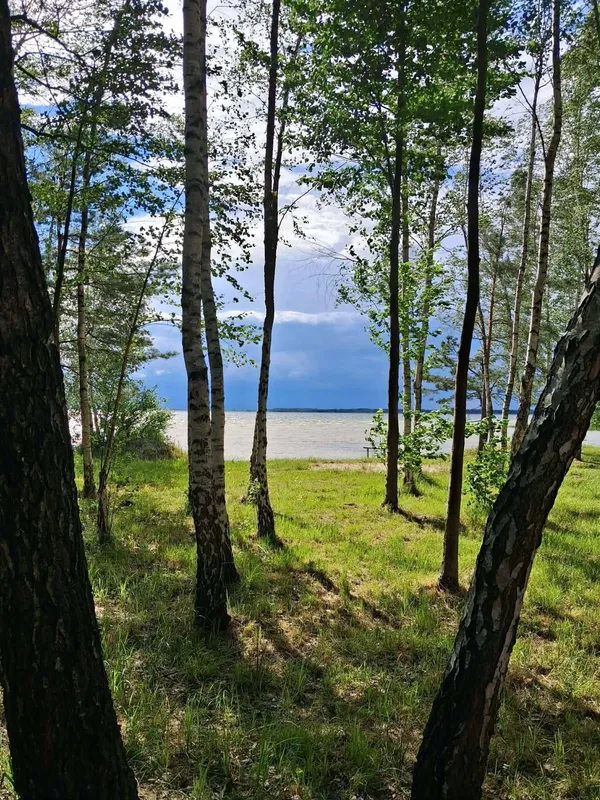 Світязь вразив незвичним видовищем: вода в озері стала схожою на рідке срібло (фото)