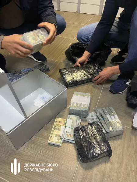 У депутатки Хмельницької міськради знайшли понад 1,5 млн незадекларованих доларів (фото)