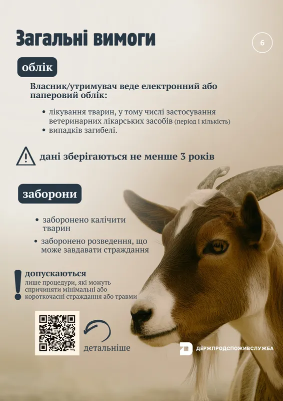 В Україні з 1 січня діятимуть євровимоги до утримання сільськогосподарських тварин