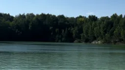 На Волині показали неземної краси озеро з ніжною водою (відео)