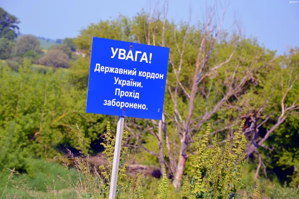 Черги, майбутня розбудова та три мільйони «в яму»: реалії української митниці (фото, відео)