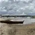 Світязь стрімко обмілів: чому зникає вода у Шацьких озерах та чи винна в цьому лохина (фото)