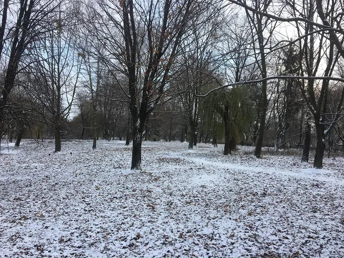 Луцьк накрило снігом (фоторепортаж)
