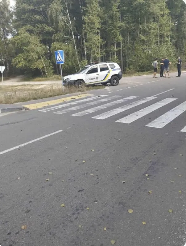 Вибігла на дорогу: на Волині поліцейські збили жінку (фото)