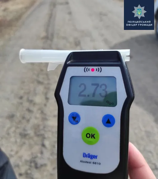 На Волині легковик з п'яним водієм злетів у кювет (фото)