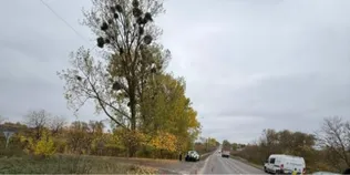 Загинув 18-річний юнак: у Луцькому районі п’яний мотоцикліст не впорався з керуванням