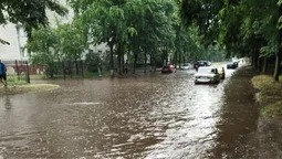 Машини плавають: у Луцьку після невеликого дощу знову затопило вулиці (фото, відео)