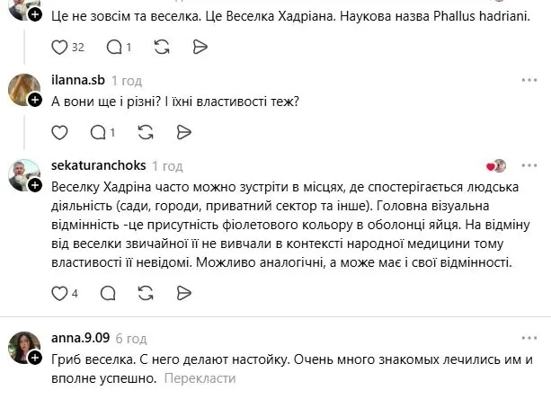 У клумбі виросло «відьмине яйце»: незвичайна знахідка здивувала українку