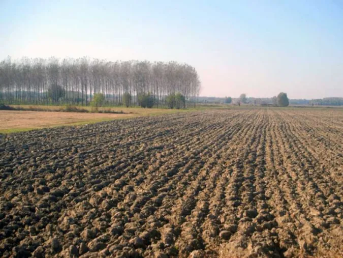 Українці скуповують землю в Польщі