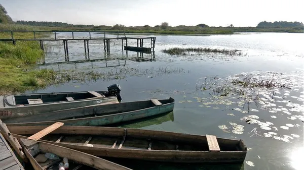 Сваловичі: як живе село на Волині, де лишилося 12 жителів (фото, відео)