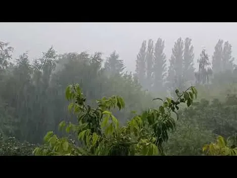 У Луцьку – злива: затопило вулиці, на в'їзді в місто – затори (відео)
