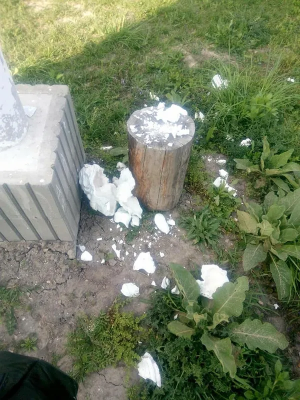 Вандали розгромили парк поблизу Луцька (фото)