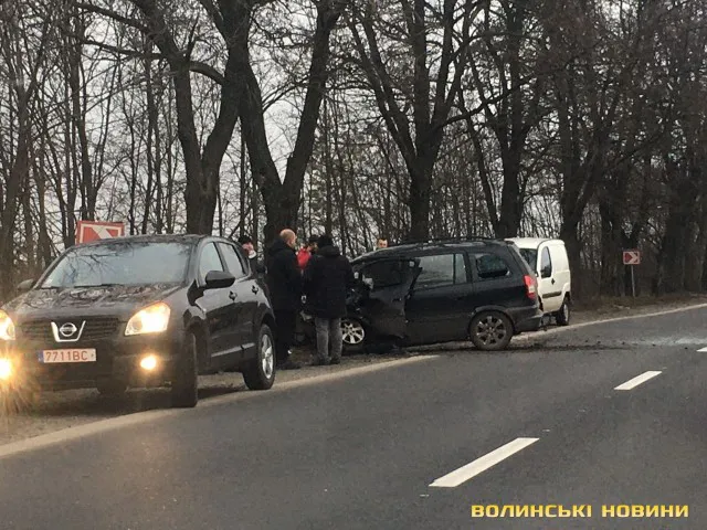 Не вписався в поворот: на Волині автомобіль врізався у дерево (фото)