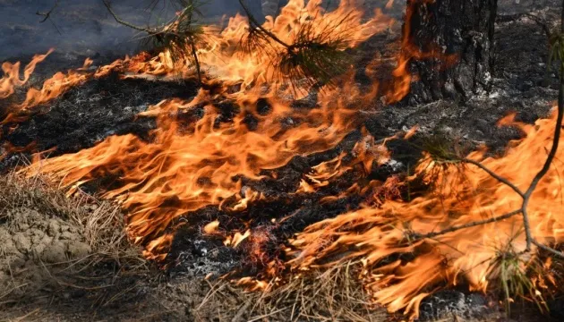 🔥Погода сприяє: на Волині – надзвичайний рівень пожежної небезпеки