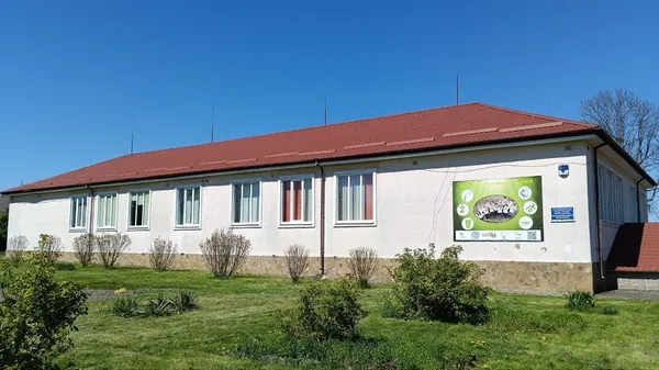 На Волині хочуть збудувати укриття для школярів на місці археологічних розкопок (фото, відео)