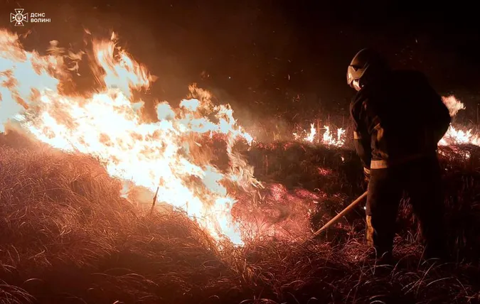 На Волині невідомі спалили майже два гектари сухої трави (фото)