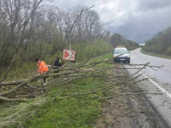 Буревій у Луцьку повалив дерево на припаркований автомобіль (фото, відео)