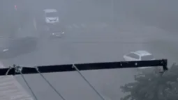 Волинь накрив непроглядний туман (відео)