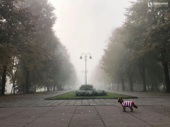 Центральний парк Луцька у ранковому тумані (фото)