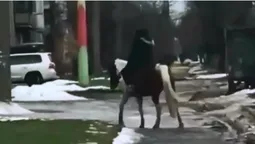 У Луцьку чоловік приїхав до магазину верхи на коні (відео)