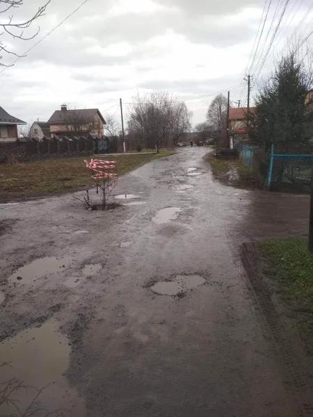 Болото та калюжі: лучанин поскаржився на жахливий стан вулиці (фото)