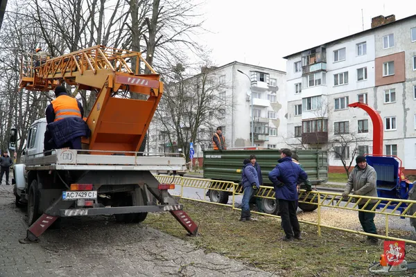 У Володимирі на Ковельській кронують дерева (фото)