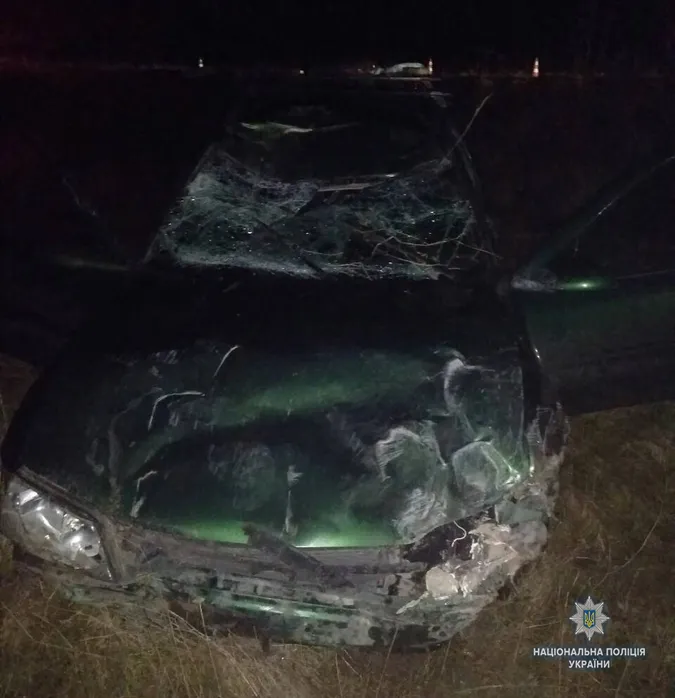 Смертельна ДТП на Волині: Opel в'їхав у кінну підводу