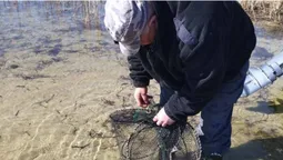 Браконьєрство в нерест: на волинських водоймах зловили порушників (фото)