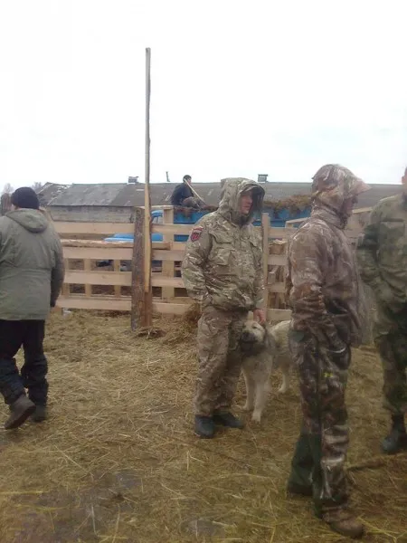 Фермери & селяни:  на Волині не можуть поділити землю