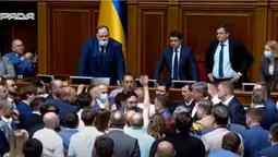 Жаба vs гадюка: у Верховній Раді Тищенко побився з Кивою (відео)